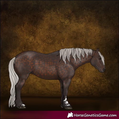 Horse Color:Silver Brown 