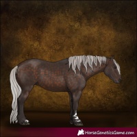 Horse Color:Silver Brown 