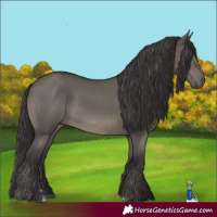 Horse Color:Smoky Grullo Rabicano