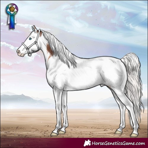 Horse Color:Silver Brown Splash Tobiano Rabicano