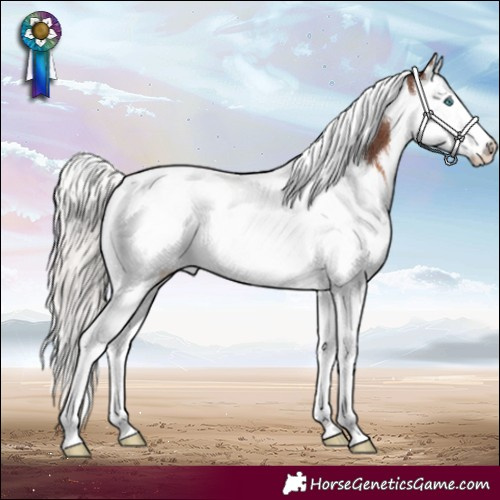 Horse Color:Silver Brown Splash Tobiano Rabicano 