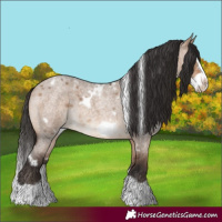 Horse Color:White Spotted Brown Roan Dun Splash Frame Rabicano 