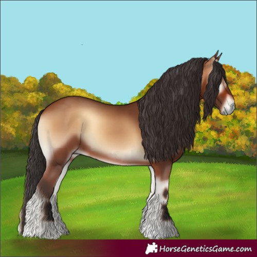 Horse Color:Bay Onyx 