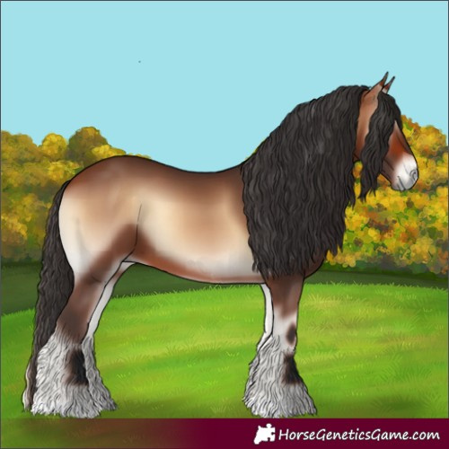 Horse Color:Bay Onyx 
