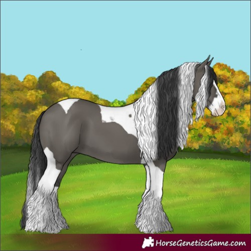 Horse Color:Grullo Splash Tobiano 
