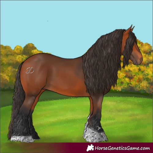 Horse Color:Bay Tobiano