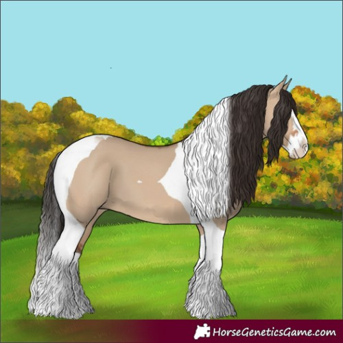 Horse Color:Bay Dun Splash Tobiano 