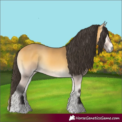 Horse Color:Buckskin Onyx