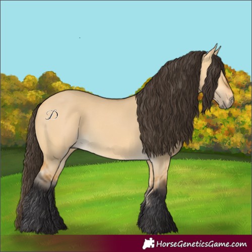 Horse Color:Buckskin Dun 