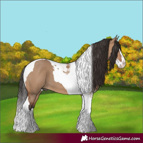 Horse Color:Bay Dun Splash Tobiano