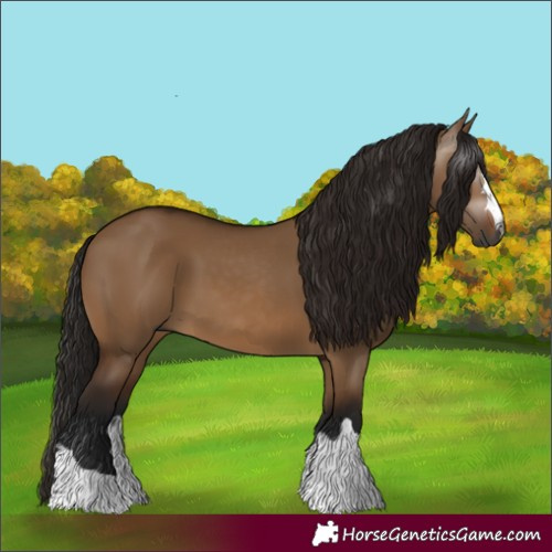 Horse Color:Gray Bay Dun 