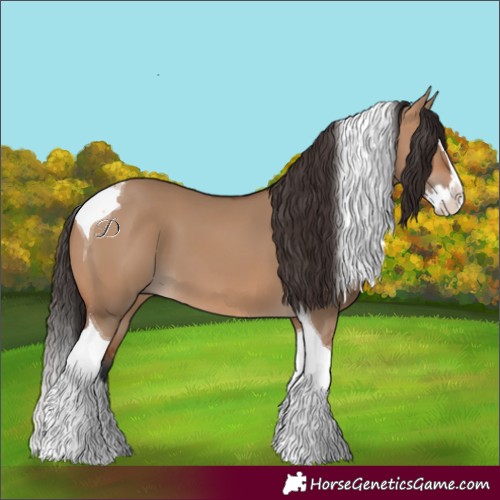 Horse Color:Bay Dun Splash Tobiano