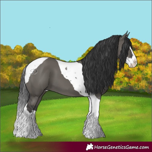 Horse Color:Grullo Splash Tobiano