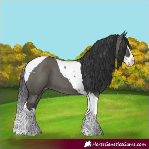 Horse Color:Grullo Splash Tobiano