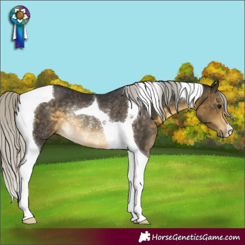 Horse Color:Silver Buckskin Tobiano Rabicano