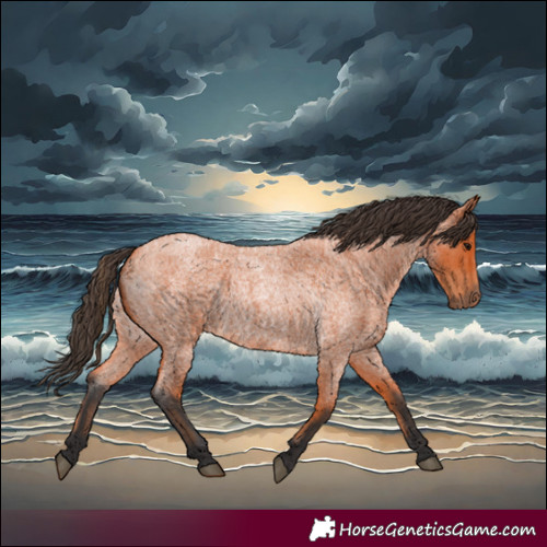 Horse Color:Bay Roan