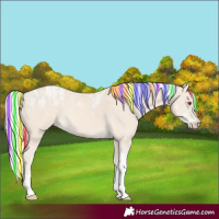 Horse Color:Powder White Painted Cremello