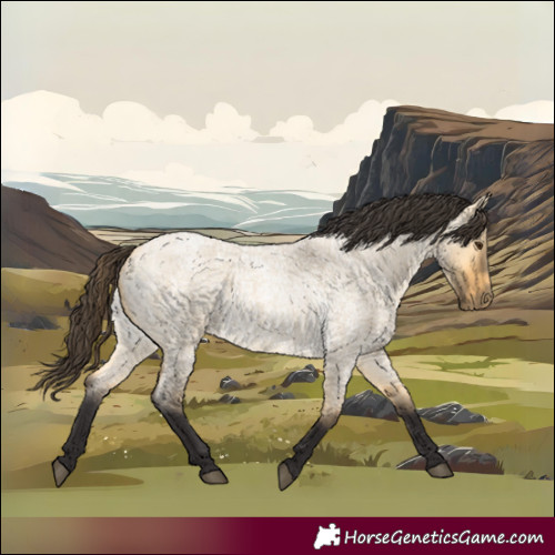 Horse Color:Buckskin Roan Dun