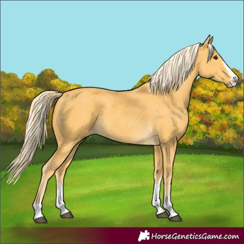 Horse Color:Unknown 