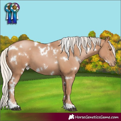 Horse Color:White Spotted Silver Black Pearl 