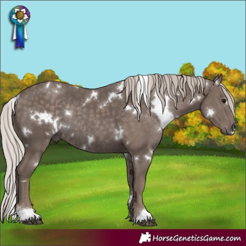 Horse Color:White Spotted Silver Black Rabicano 