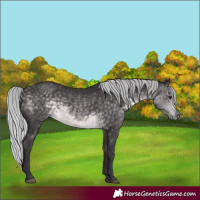 Horse Color:Platinum Silver Buckskin 
