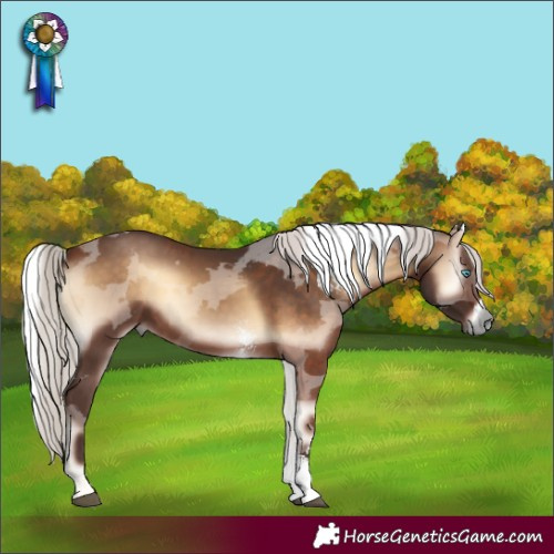 Horse Color:Silver Brown Onyx Merle Sabino