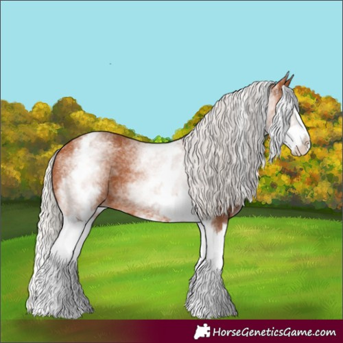 Horse Color:White Spotted Silver Bay Splash