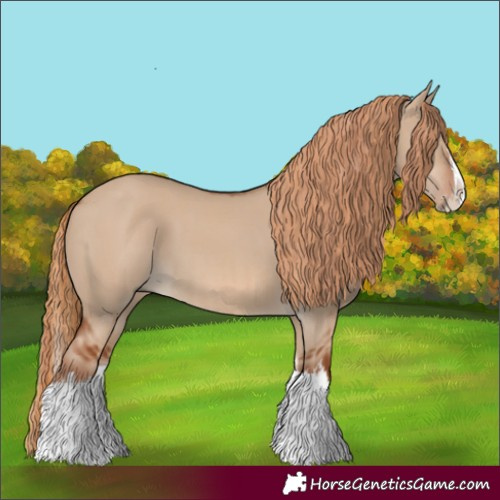Horse Color:Red Dun Splash and Red Dun Splash Rabicano