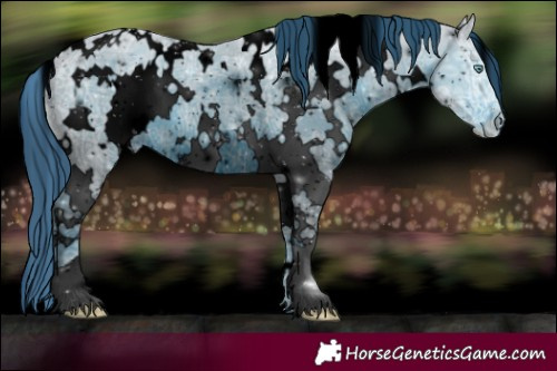 Horse Color:ERROR: UNKNOWN ANOMALY