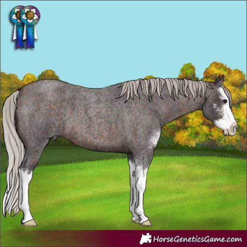 Horse Color:Silver Brown Roan Sabino Splash 