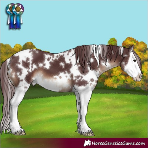 Horse Color:White Spotted Chocolate Brown Splash