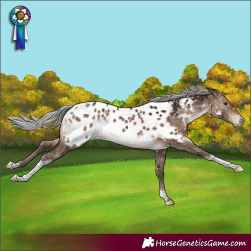Horse Color:Silver Brown Dun Mushroom Tobiano Appaloosa Rabicano Brindle 