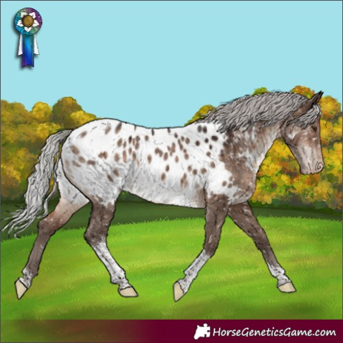 Horse Color:Silver Brown Dun Mushroom Tobiano Appaloosa Rabicano Brindle 