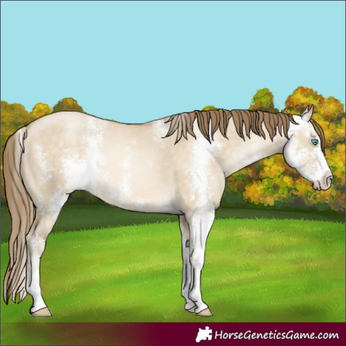 Horse Color:Buckskin Pearl Dun Sabino 