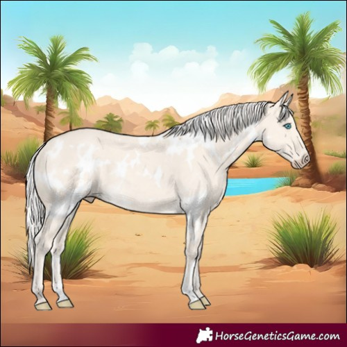 Horse Color:White Spotted Cremello Dun