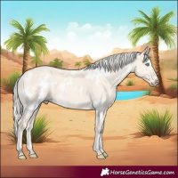 Horse Color:White Spotted Cremello Dun 