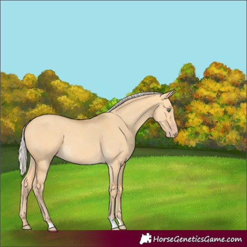 Horse Color:Silver Amber Cream Champagne Dun