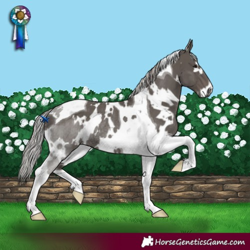 Horse Color:White Spotted Silver Black Mushroom Tobiano Rabicano 