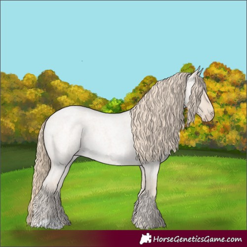 Horse Color:Smoky Creme Roan 