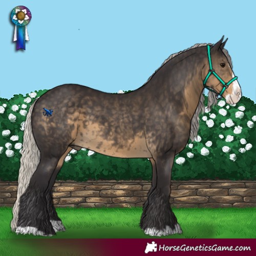 Horse Color:Silver Smoky Black Sabino Splash 