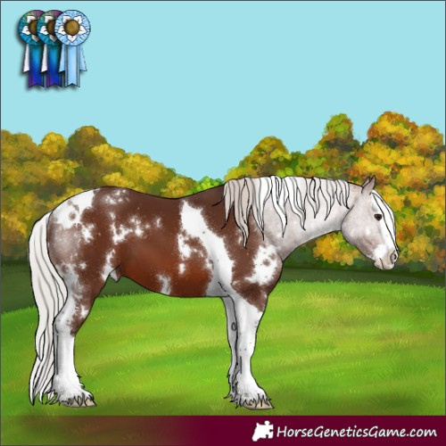 Horse Color:White Spotted Silver Brown Splash Tobiano 