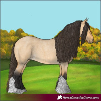 Horse Color:Buckskin Roan Dun Tobiano 