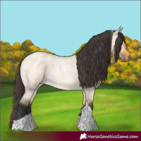 Horse Color:Buckskin Roan Dun Tobiano 
