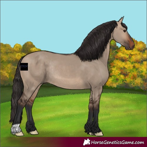 Horse Color:Bay Dun Rabicano 
