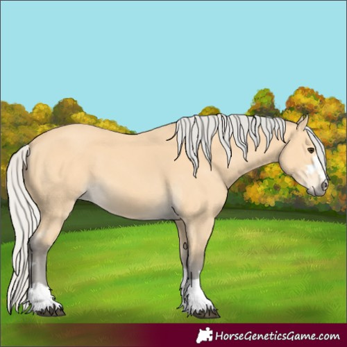 Horse Color:Silver Buckskin