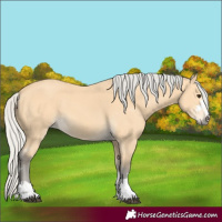 Horse Color:Silver Buckskin