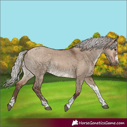 Horse Color:Silver Brown Dun Tobiano