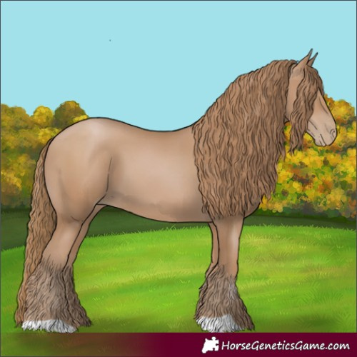 Horse Color:Black Pearl 