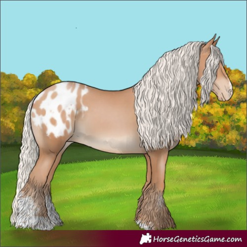 Horse Color:Silver Black Pearl Sabino Appaloosa 